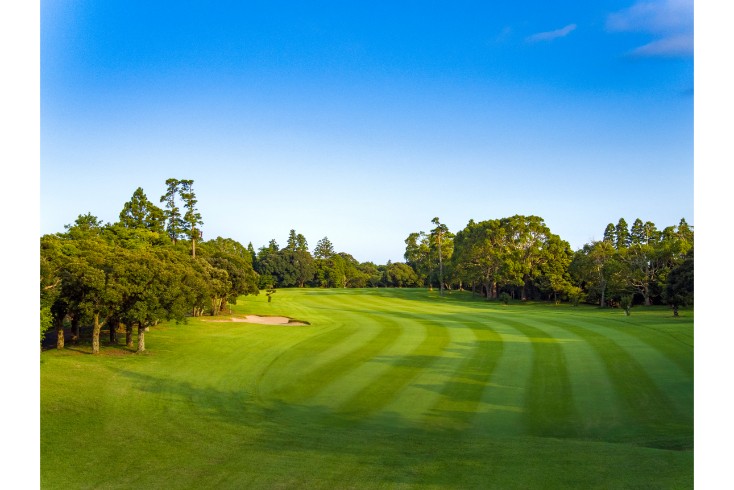 ホール7：ティーショット