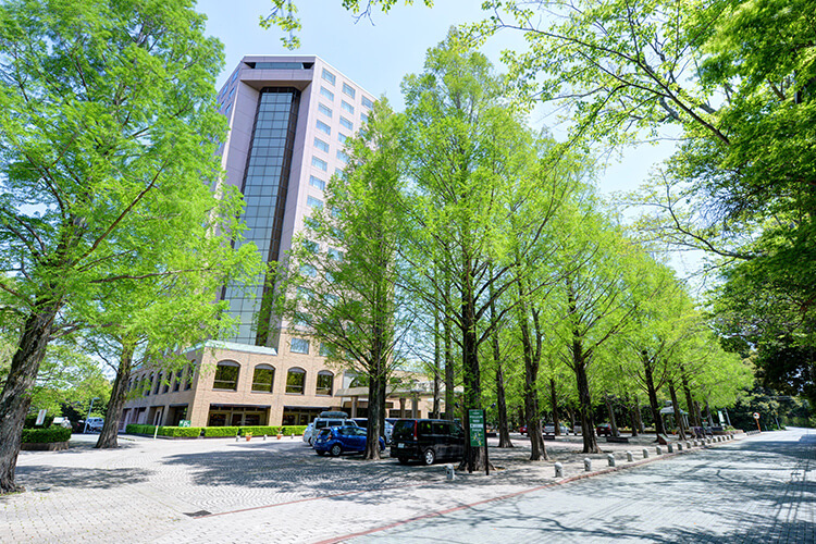 ホテルトリニティ書斎：写真