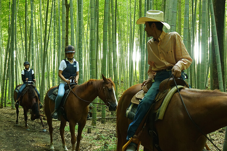 アクティビティー：写真